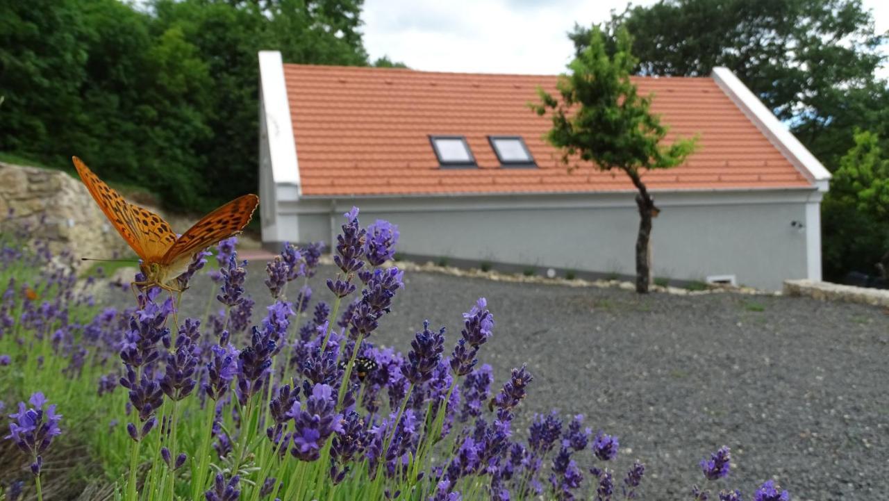 Kosbor Vendégház Monoszlo Exterior foto